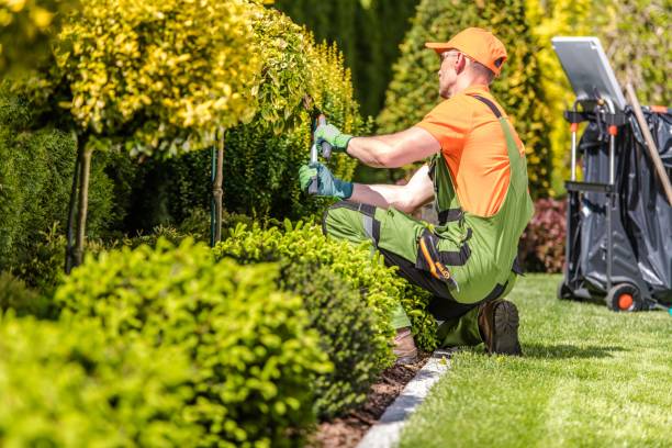 Garden maintenance services