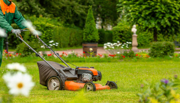 Professional lawn care service