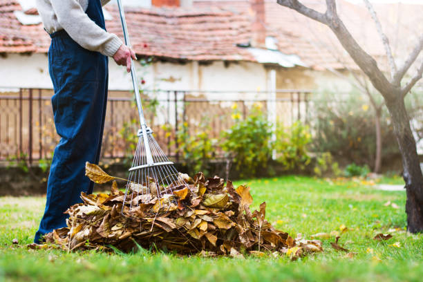 Seasonal cleanup services